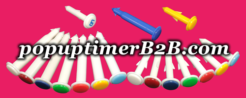 11 popuptimerb2b.com